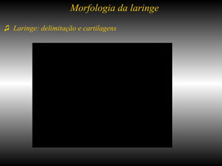 ♫  Laringe: delimitação e cartilagens Morfologia da laringe 