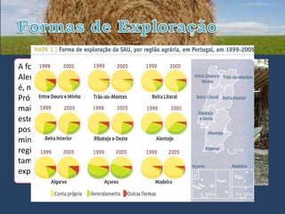 A forma de exploração dos solos no
Alentejo e na maioria em todo país
é, na sua predominância, por Conta
Própria. No Alentejo a percentagem é
mais reduzida (no entanto predomina
este tipo de exploração) dado que a
posse de terras pertence a uma
minoria que muitas vezes não vive na
região. Esta forma de exploração
também se deve ao tamanho das
explorações agrícolas
 