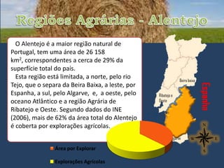 O Alentejo é a maior região natural de
Portugal, tem uma área de 26 158
km2, correspondentes a cerca de 29% da
superfície total do país.
  Esta região está limitada, a norte, pelo rio                  Beira baixa
Tejo, que o separa da Beira Baixa, a leste, por




                                                                              Espanha
Espanha, a sul, pelo Algarve, e, a oeste, pelo    Ribatejo e
oceano Atlântico e a região Agrária de            Oeste

Ribatejo e Oeste. Segundo dados do INE
(2006), mais de 62% da área total do Alentejo
é coberta por explorações agrícolas.
                                                          Algarve

                Área por Explorar

                Explorações Agrícolas
 