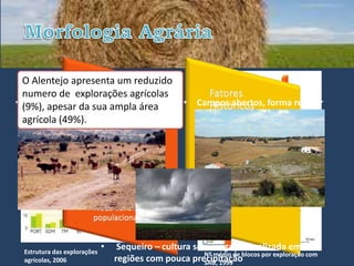 O Alentejo Alentejo, encontramos:
   Assim, no apresenta um reduzido
  numero de explorações agrícolas
• (9%), apesar da grande dimensão
    Explorações de sua ampla área   • Campos abertos, forma regular
  agrícola (49%).




 Estrutura das explorações
                             •    Sequeiro – cultura sem irrigação realizada em
 agrícolas, 2006                 regiões com pouca precipitaçãoblocos por exploração com
                                                       Nº médio de
                                                       SAU, 1999
 