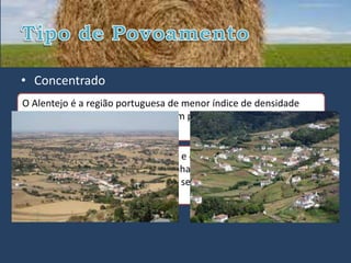 • Concentrado
O Alentejo é a região portuguesa de menor índice de densidade
populacional (23,7 h/km2) e com um povoamento especialmente
concentrado.

 O traço mais marcante desta região e que tem um índice de
envelhecimento apesar de acompanhar a tendência nacional, é
superior a media do país (18,2%) ou seja tem um índice de
envelhecimento de 23%
 