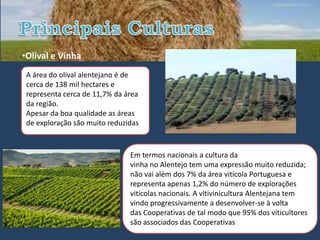 •Olival e Vinha
 A área do olival alentejano é de
 cerca de 138 mil hectares e
 representa cerca de 11,7% da área
 da região.
 Apesar da boa qualidade as áreas
 de exploração são muito reduzidas



                               Em termos nacionais a cultura da
                               vinha no Alentejo tem uma expressão muito reduzida;
                               não vai além dos 7% da área vitícola Portuguesa e
                               representa apenas 1,2% do número de explorações
                               vitícolas nacionais. A vitivinicultura Alentejana tem
                               vindo progressivamente a desenvolver-se à volta
                               das Cooperativas de tal modo que 95% dos viticultores
                               são associados das Cooperativas
 