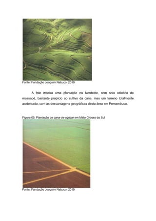 Fonte: Fundação Joaquim Nabuco, 2010
A foto mostra uma plantação no Nordeste, com solo calcário de
massapé, bastante propício ao cultivo da cana, mas um terreno totalmente
acidentado, com as desvantagens geográficas desta área em Pernambuco.
Figura 05: Plantação de cana-de-açúcar em Mato Grosso do Sul
Fonte: Fundação Joaquim Nabuco, 2010
 
