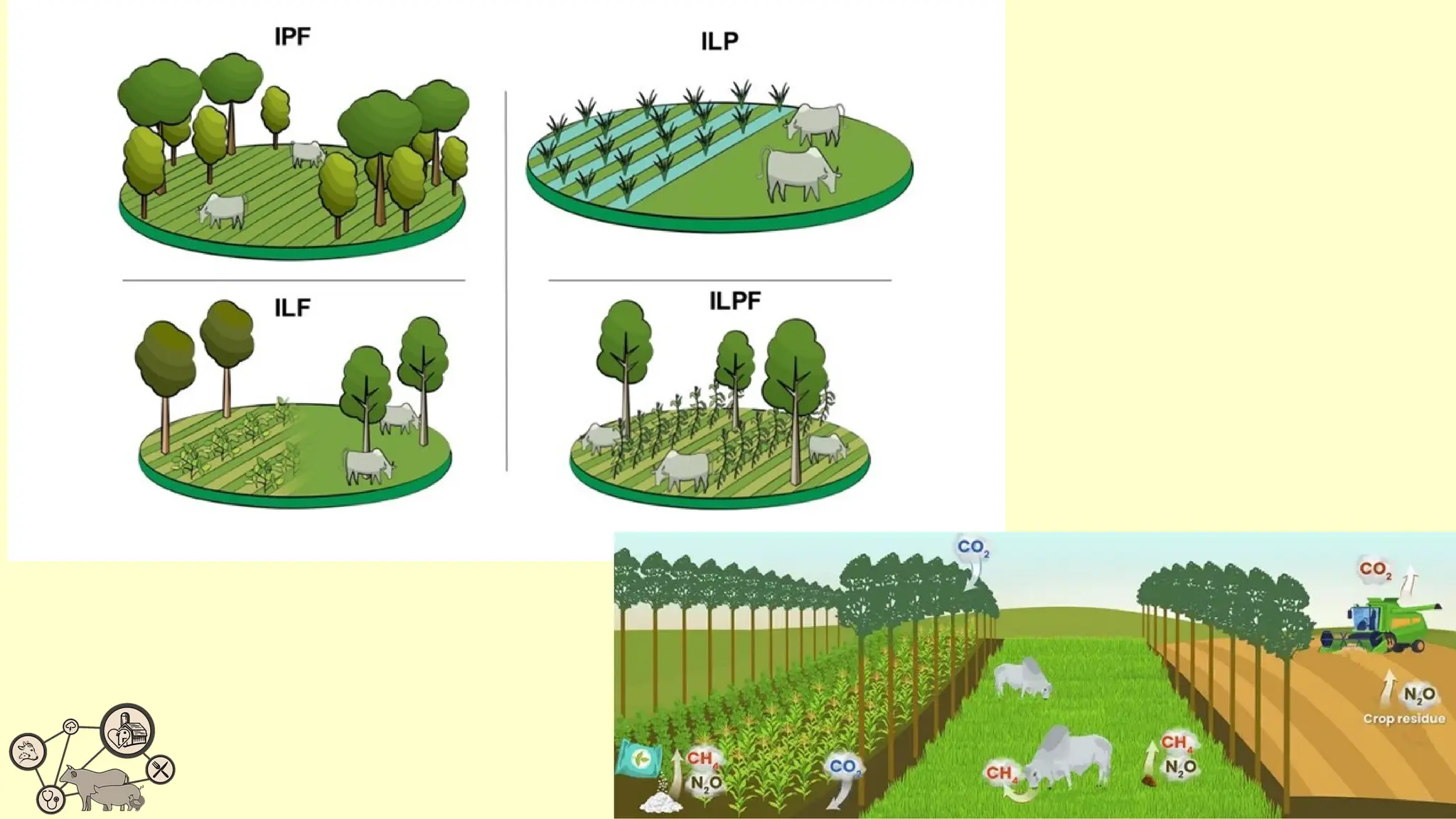Sistemas de Produção animal - Intensivo semi-extensivo e extensivo | PPTX