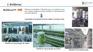 2. Biofábricas
Biofábrica??? Estruturas de produção e laboratório que, em conjunto em um
único espaço, produzem insumos biológicos (microorganismo)
em escala industrial.
Capacidade de produção de forma rápida e em larga escala.
Biofábrica de produção de vespas
Biofábrica de produção de mudas
Biofábrica de multiplicação
 