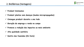 2. Biofábricas (Vantagens)
 Produzir bioinsumos
 Produzir plantas sem doenças (mudas micropropagadas)
 Consegue produzir durante o ano todo
 Geração de emprego e renda no campo
 Promove a redução dos impactos ao meio ambiente
 Alta qualidade sanitária
 Dentro das fazendas (On farm)
 