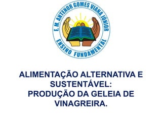 ALIMENTAÇÃO ALTERNATIVA E
SUSTENTÁVEL:
PRODUÇÃO DA GELEIA DE
VINAGREIRA.
 