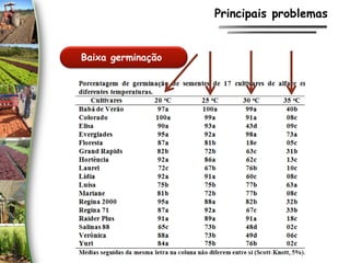 Baixa germinação
Principais problemas
 
