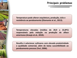 Principais problemas
Temperatura pode alterar arquitetura, produção, ciclo e
resistência ao pendoamento (Diamante et al., 2013).
Temperaturas elevadas (médias de 20,9 a 22,8ºC)
responsáveis pela redução na produção de alface
americana (Araujo et al., 2010).
Desafio é selecionar cultivares com elevada produtividade
e qualidade comercial, além de baixa suscetibilidade ao
pendoamento precoce (Yuri, 2006).
 