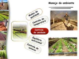 Manejo do
ambiente
Controle
de umidade
Manejo do ambiente
 