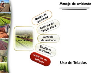 Manejo do
ambiente
Controle
de umidade
Uso de Telados
Manejo do ambiente
 