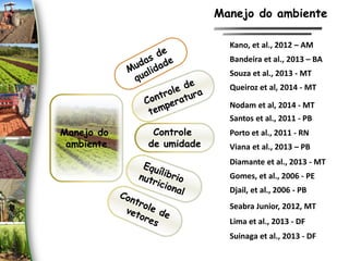 Manejo do
ambiente
Controle
de umidade
Manejo do ambiente
Seabra Junior, 2012, MT
Queiroz et al, 2014 - MT
Santos et al., 2011 - PB
Porto et al., 2011 - RN
Souza et al., 2013 - MT
Viana et al., 2013 – PB
Nodam et al, 2014 - MT
Diamante et al., 2013 - MT
Gomes, et al., 2006 - PE
Djail, et al., 2006 - PB
Suinaga et al., 2013 - DF
Kano, et al., 2012 – AM
Lima et al., 2013 - DF
Bandeira et al., 2013 – BA
 