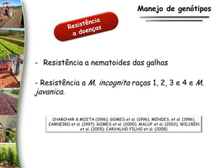 - Resistência a M. incognita raças 1, 2, 3 e 4 e M.
javanica.
CHARCHAR & MOITA (1996); GOMES et al. (1996); MENDES, et al. (1996);
CARNEIRO et al. (1997); GOMES et al. (2000); MALUF et al. (2002); WILCKEN
et al. (2005); CARVALHO FILHO et al. (2008)
- Resistência a nematoides das galhas
Manejo de genótipos
 