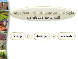 Fenótipo = + Ambiente
Genótipo
 