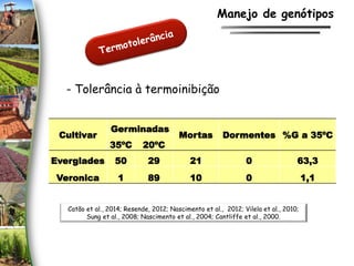 - Tolerância à termoinibição
Cultivar
Germinadas
Mortas Dormentes %G a 35ºC
35ºC 20ºC
Everglades 50 29 21 0 63,3
Veronica 1 89 10 0 1,1
Catão et al., 2014; Resende, 2012; Nascimento et al., 2012; Vilela et al., 2010;
Sung et al., 2008; Nascimento et al., 2004; Cantliffe et al., 2000.
Manejo de genótipos
 