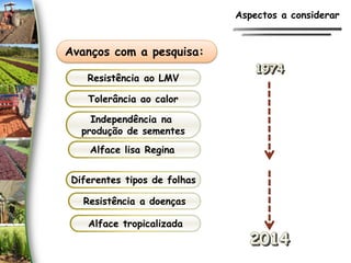 Avanços com a pesquisa:
Resistência ao LMV
Alface lisa Regina
Tolerância ao calor
Independência na
produção de sementes
Diferentes tipos de folhas
Resistência a doenças
Alface tropicalizada
Aspectos a considerar
 