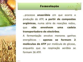 Fermentação

          …processo anaeróbio em que ocorre a
          produção de ATP, a partir de compostos
          orgânicos, numa série de reacções redox,
          que    não        envolvem     uma       cadeia
          transportadora de electrões.
          A   fermentação     envolve   menores    ganhos
          energéticos   -    apenas     se     formam    2
          moléculas de ATP por molécula de glicose,
          enquanto   que     na   respiração   aeróbia   se
          formam 36 ATP.


IL 2010
 
