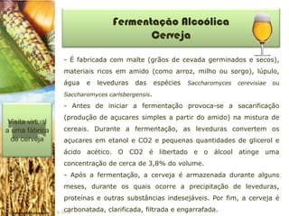 Fermentação Alcoólica
                                            Cerveja

                     - É fabricada com malte (grãos de cevada germinados e secos),
                     materiais ricos em amido (como arroz, milho ou sorgo), lúpulo,
                     água   e   leveduras   das      espécies   Saccharomyces   cerevisiae   ou

                     Saccharomyces carlsbergensis.

                     - Antes de iniciar a fermentação provoca-se a sacarificação
                     (produção de açucares simples a partir do amido) na mistura de
 Visita virtual
a uma fábrica        cereais. Durante a fermentação, as leveduras convertem os
  de cerveja         açucares em etanol e CO2 e pequenas quantidades de glicerol e
                     ácido acético. O CO2 é libertado e o álcool atinge uma
                     concentração de cerca de 3,8% do volume.
                     - Após a fermentação, a cerveja é armazenada durante alguns
                     meses, durante os quais ocorre a precipitação de leveduras,
                     proteínas e outras substâncias indesejáveis. Por fim, a cerveja é
                     carbonatada, clarificada, filtrada e engarrafada.
                  IL 2010
 