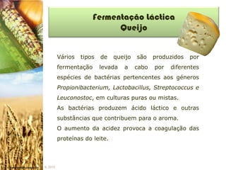 Fermentação Láctica
                              Queijo


          Vários   tipos   de   queijo   são    produzidos   por
          fermentação      levada   a    cabo   por   diferentes
          espécies de bactérias pertencentes aos géneros
          Propionibacterium, Lactobacillus, Streptococcus e
          Leuconostoc, em culturas puras ou mistas.
          As bactérias produzem ácido láctico e outras
          substâncias que contribuem para o aroma.
          O aumento da acidez provoca a coagulação das
          proteínas do leite.



IL 2010
 