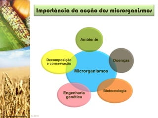 Importância da acção dos microrganismos



                            Ambiente




          Decomposição                      Doenças
          e conservação

                          Microrganismos



                                       Biotecnologia
                  Engenharia
                   genética



IL 2010
 