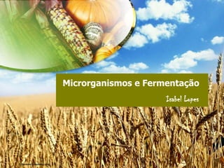 Microrganismos e Fermentação
                     Isabel Lopes
 