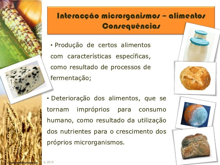 Os Micologistas Estudam Quais Tipos De Microrganismos