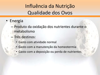 Influência da Nutrição
Qualidade dos Ovos
• Energia
– Produto da oxidação dos nutrientes durante o
metabolismo
– Três destinos:
• Gasto com atividade normal
• Gasto com a manutenção da homeotermia
• Gasto com a deposição ou perda de nutrientes
 