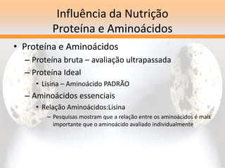 Influência da Nutrição
Proteína e Aminoácidos
• Proteína e Aminoácidos
– Proteína bruta – avaliação ultrapassada
– Proteína Ideal
• Lisina – Aminoácido PADRÃO
– Aminoácidos essenciais
• Relação Aminoácidos:Lisina
– Pesquisas mostram que a relação entre os aminoácidos é mais
importante que o aminoácido avaliado individualmente
 