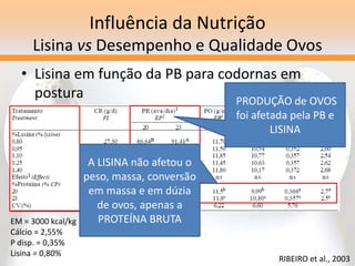 Influência da Nutrição
Lisina vs Desempenho e Qualidade Ovos
• Lisina em função da PB para codornas em
postura
RIBEIRO et al., 2003
EM = 3000 kcal/kg
Cálcio = 2,55%
P disp. = 0,35%
Lisina = 0,80%
PRODUÇÃO de OVOS
foi afetada pela PB e
LISINA
A LISINA não afetou o
peso, massa, conversão
em massa e em dúzia
de ovos, apenas a
PROTEÍNA BRUTA
 