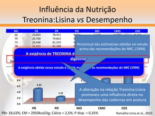 Influência da Nutrição
Treonina:Lisina vs Desempenho
REL CR PR PO MO CMO CDZ
66 20,859 78,451 9,712 7,620 2,739 0,319
70 20,700 79,863 9,745 7,779 2,662 0,311
74 20,448 81,559 9,761 7,958 2,571 0,305
78 21,015 82,388 9,774 8,052 2,610 0,304
82 20,581 81,936 9,755 7,992 2,576 0,302
86 20,761 79,079 9,748 7,707 2,694 0,309
Efeito NS Q** Q** Q** Q** Q**
Exigência 77,13 75,12 78,22 79,61 81
C.V(%) 3,764 3,210 1,554 3,189 4,420 4,404
0.0
2.0
4.0
6.0
8.0
10.0
PR PO MO CMO CDZ
4.23
1.52
5.70
7.58
9.46
A exigência de TREONINA digestível é 78% do nível de lisina
digestível
A exigência obtida nesse estudo é 5,41% maior que as recomendações do NRC (1994)
Percentual das estimativas obtidas no estudo
acima das recomendações do NRC, (1994)
A alteração na relação Treonina:Lisina
promoveu uma influência direta no
desempenho das codornas em postura
PB= 18,63%; EM = 2950kcal/kg; Cálcio = 2,5%; P disp. = 0,35% Ramalho Lima et al., 2010
 