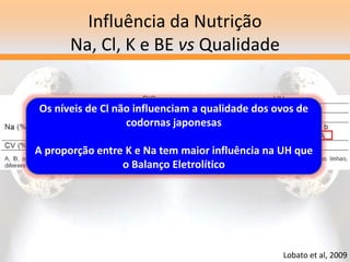 Influência da Nutrição
Na, Cl, K e BE vs Qualidade
Lobato et al, 2009
Os níveis de Cl não influenciam a qualidade dos ovos de
codornas japonesas
A proporção entre K e Na tem maior influência na UH que
o Balanço Eletrolítico
 