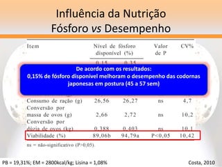 Influência da Nutrição
Fósforo vs Desempenho
PB = 19,31%; EM = 2800kcal/kg; Lisina = 1,08% Costa, 2010
De acordo com os resultados:
0,15% de fósforo disponível melhoram o desempenho das codornas
japonesas em postura (45 a 57 sem)
 