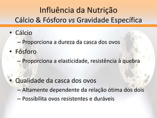 Influência da Nutrição
Cálcio & Fósforo vs Gravidade Específica
• Cálcio
– Proporciona a dureza da casca dos ovos
• Fósforo
– Proporciona a elasticidade, resistência à quebra
• Qualidade da casca dos ovos
– Altamente dependente da relação ótima dos dois
– Possibilita ovos resistentes e duráveis
 