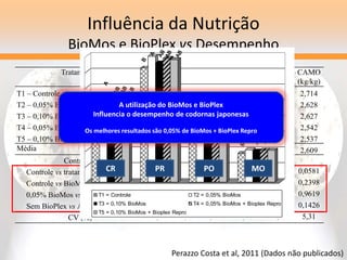 Influência da Nutrição
BioMos e BioPlex vs Desempenho
Tratamentos CR
(g/ave)
PR
(%)
PO
(g)
MO
(g/ave/dia)
CADZ
(kg/dz.)
CAMO
(kg/kg)
T1 – Controle 24,5 b 72,3b 12,4 9,0b 0,405 2,714
T2 – 0,05% BioMos 26,5a 79,8a 12,7 10,2a 0,399 2,628
T3 – 0,10% BioMos 25,6 ab 75,6ab 12,9 9,8ab 0,407 2,627
T4 – 0,05% BioMos + BioPlex Repro 25,7 ab 78,5ab 12,9 10,1ab 0,393 2,542
T5 – 0,10% BioMos + BioPlex Repro 25,4 ab 77,7ab 12,9 10,1ab 0,393 2,537
Média 25,5 76,8 12,8 9,8 0,399 2,609
Contrastes
Controle vs tratamentos 0,0098 0,0084 0,1032 0,0026 0,2918 0,0581
Controle vs BioMos 0,0048 0,0184 0,1968 0,0090 0,7582 0,2398
0,05% BioMos vs 0,10% BioMos 0,1404 0,1363 0,5373 0,4329 0,5554 0,9619
Sem BioPlex vs Adição de BioPlex 0,1791 0,8026 0,5899 0,5624 0,1132 0,1426
CV (%) 3,47 4,81 3,82 5,37 3,88 5,31
Perazzo Costa et al, 2011 (Dados não publicados)
B
A
A
B
A
B
A
B
B
A
A
B
A
B
A
B
B
A
A
B
A
B
A
B
T1 = Controle T2 = 0,05% BioMos
T3 = 0,10% BioMos T4 = 0,05% BioMos + Bioplex Repro
T5 = 0,10% BioMos + Bioplex Repro
A utilização do BioMos e BioPlex
Influencia o desempenho de codornas japonesas
Os melhores resultados são 0,05% de BioMos + BioPlex Repro
CR PR PO MO
 