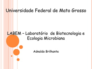 Universidade Federal de Mato Grosso
LABEM – Laboratório de Biotecnologia e
Ecologia Microbiana
Adnaldo Brilhante
 