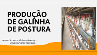 PRODUÇÃO
DE GALINHA
DE POSTURA
Alunos: Anderson Matheus de Araujo;
Claudiney Carlos Rodrigues.
 