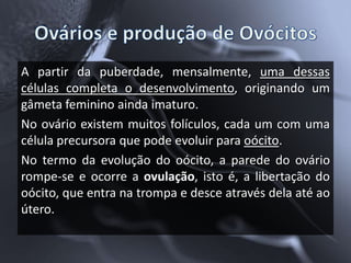A partir da puberdade, mensalmente, uma dessas
células completa o desenvolvimento, originando um
gâmeta feminino ainda imaturo.
No ovário existem muitos folículos, cada um com uma
célula precursora que pode evoluir para oócito.
No termo da evolução do oócito, a parede do ovário
rompe-se e ocorre a ovulação, isto é, a libertação do
oócito, que entra na trompa e desce através dela até ao
útero.
 