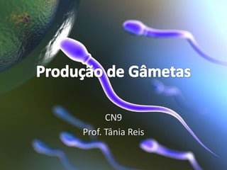 CN9
Prof. Tânia Reis
 