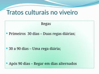 Tratos culturais no viveiro
Regas
 Primeiros 30 dias – Duas regas diárias;
 30 a 90 dias – Uma rega diária;
 Após 90 dias – Regar em dias alternados
 