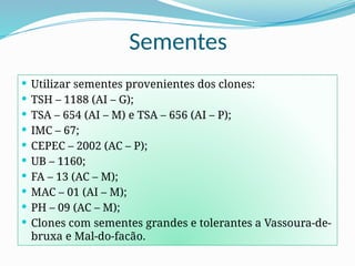Sementes
 Utilizar sementes provenientes dos clones:
 TSH – 1188 (AI – G);
 TSA – 654 (AI – M) e TSA – 656 (AI – P);
 IMC – 67;
 CEPEC – 2002 (AC – P);
 UB – 1160;
 FA – 13 (AC – M);
 MAC – 01 (AI – M);
 PH – 09 (AC – M);
 Clones com sementes grandes e tolerantes a Vassoura-de-
bruxa e Mal-do-facão.
 