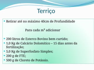 Terriço
 Retirar até no máximo 40cm de Profundidade
Para cada m³ adicionar
 200 litros de Esterco Bovino bem curtido;
 1,0 Kg de Calcário Dolomítico – 15 dias antes da
fertilização;
 5,0 Kg de Superfosfato Simples;
 200 g de FTE;
 500 g de Cloreto de Potássio.
 