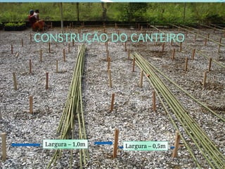 CONSTRUÇÃO DO CANTEIRO
Largura – 1,0m Largura – 0,5m
 
