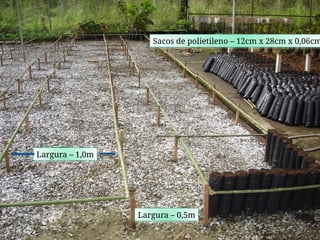 Largura – 1,0m
Largura – 0,5m
Sacos de polietileno – 12cm x 28cm x 0,06cm
 