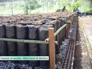 Separar as sacolas – 6cm (varas de Bambu)
 