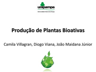 Produção de Plantas Bioativas
Camila Villagran, Diogo Viana, João Maidana Júnior
 
