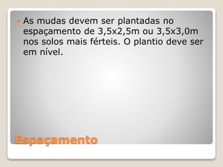 Espaçamento
 As mudas devem ser plantadas no
espaçamento de 3,5x2,5m ou 3,5x3,0m
nos solos mais férteis. O plantio deve ser
em nível.
 