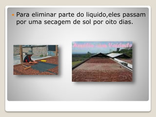  Para eliminar parte do liquido,eles passam
por uma secagem de sol por oito dias.
 