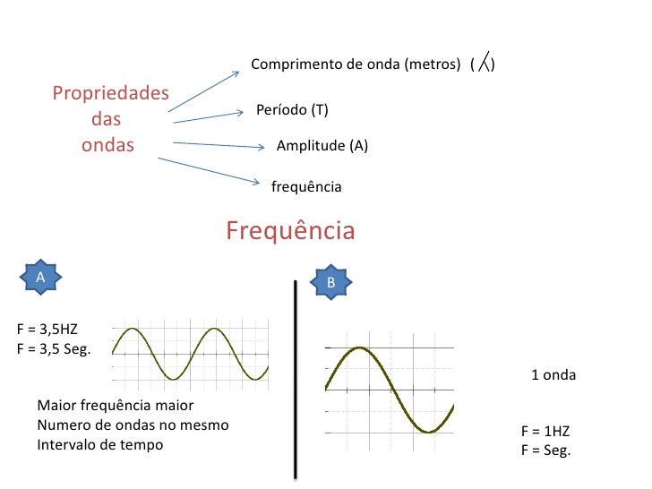 Quais Estruturas Estão Envolvidas Na Produção Do Som