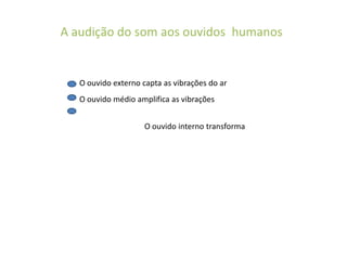 A audição do som aos ouvidos  humanos O ouvido externo capta as vibrações do arO ouvido médio amplifica as vibraçõesO ouvido interno transforma