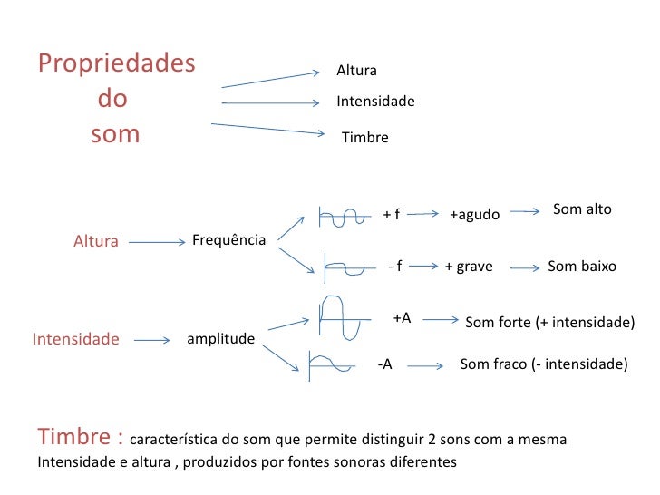 Quais Estruturas Estão Envolvidas Na Produção Do Som